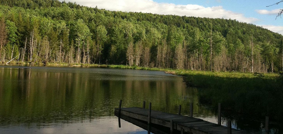 40 Acre Pond 40 Acre Pond